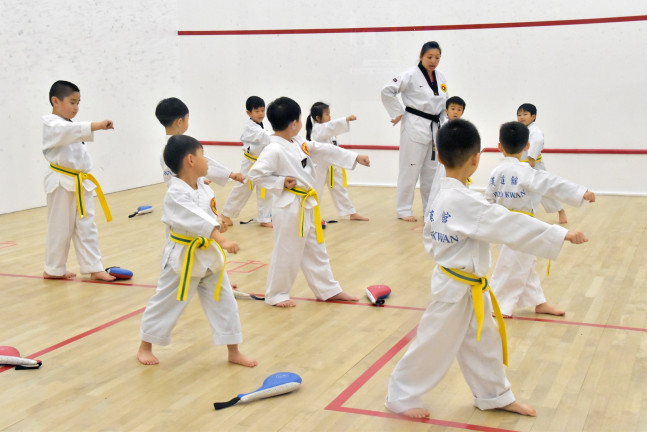 Taekwondo Programme