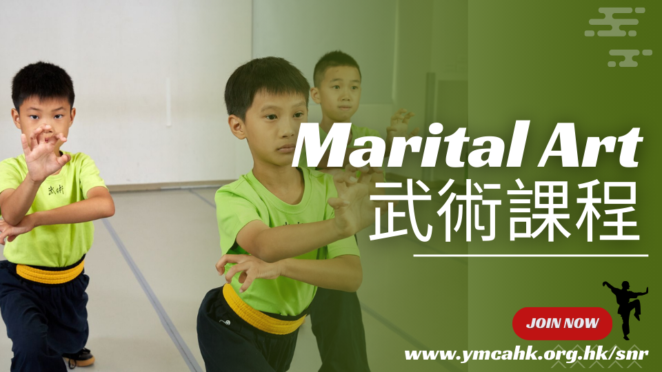 Martial Arts Programme